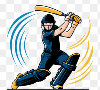 cricket icon